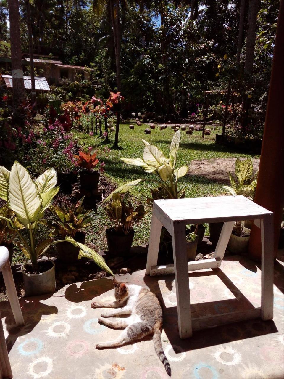 Batuan Hammock Hostel Exteriör bild