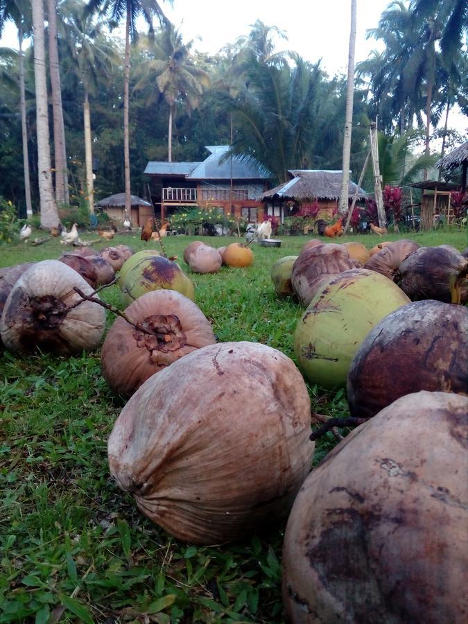 Batuan Hammock Hostel Exteriör bild